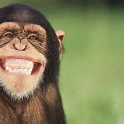 Новината за 50 евроцента бензин днес е просто... априлска мечта!