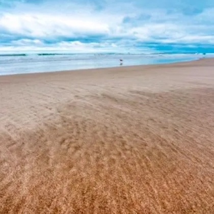 Мистерия от 30 години: кост на плажа отключи шокираща истина за изчезнал банкер