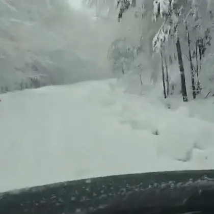 На час от Пловдив: Зимата се завърна с пълна сила в Родопите ВИДЕО+СНИМКИ