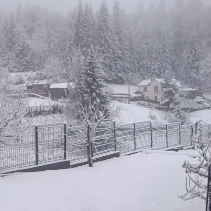 Сняг в Родопите! Зимна приказка в село в Пловдивско СНИМКИ