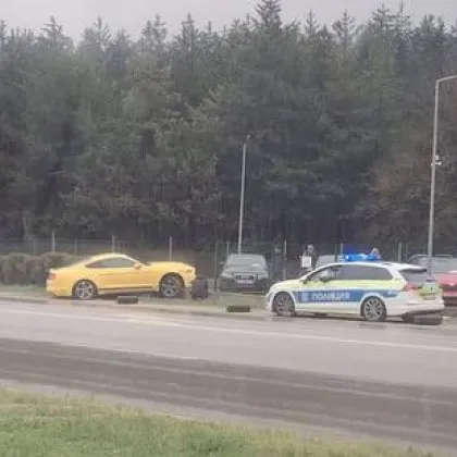 Меле с Мустанг! Кацна на оградата на автокъща СНИМКИ