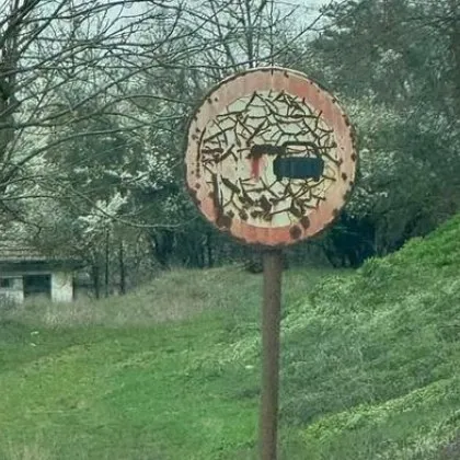 Русинова: Каквито са ни знаците, такива са ни и пътищата СНИМКА