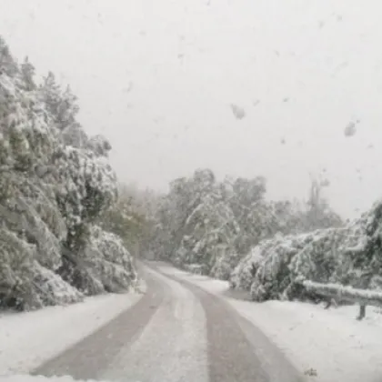 Връх Рожен с нова снежна покривка от 20 см
