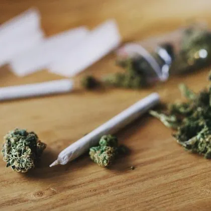 Арестуваха двама за притежание на наркотици в Шумен