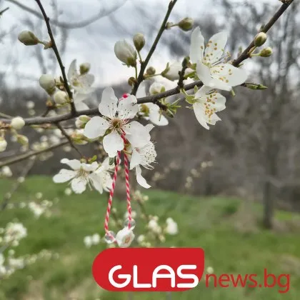 Днес ще бъде предимно слънчево Около и след обяд ще се