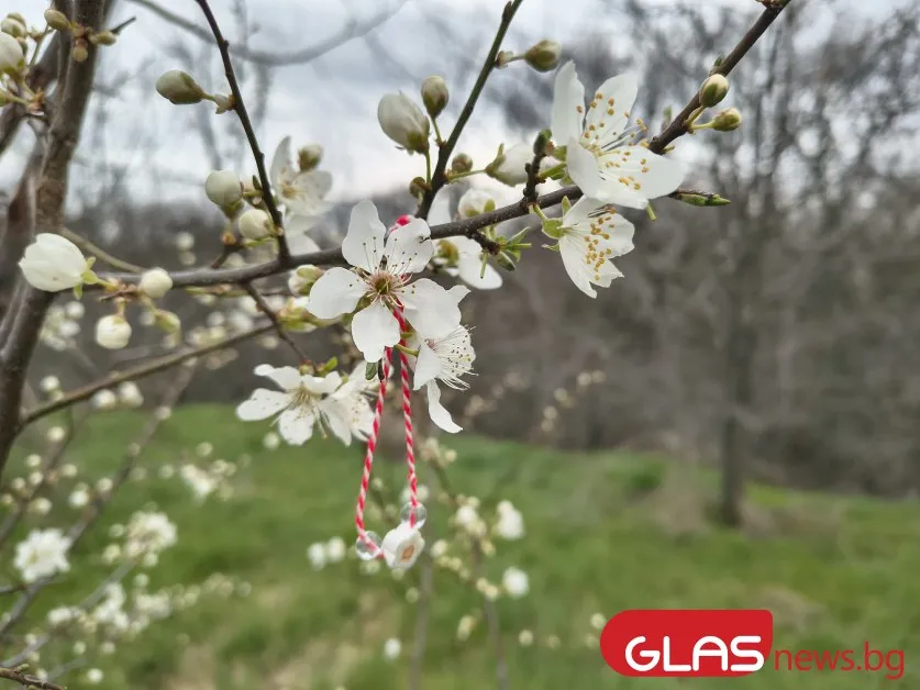 Предимно слънчева неделя