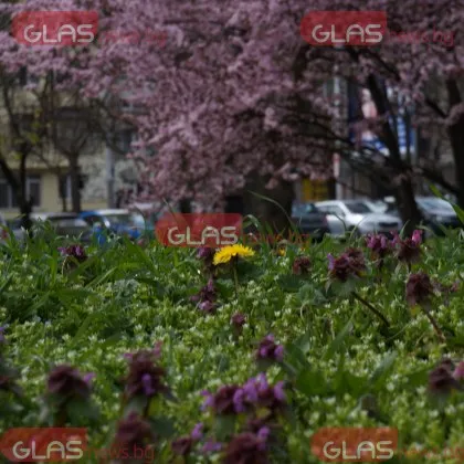 Слънчево време днес, температурите стигат до 25 градуса!