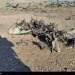 Иран публикува СНИМКИ и ВИДЕО на отломките от свалените американски хеликоптери и самолет