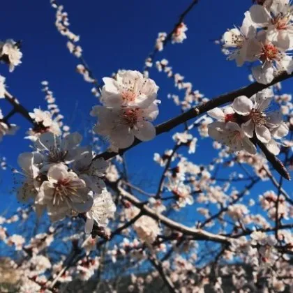 Лято ли е? Термометърът стига до 24 градуса