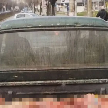 Пикап, пълен с животински вътрешности и течаща кръв, вдигна накрак властите СНИМКА 18+