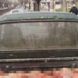 Пикап, пълен с животински вътрешности и течаща кръв, вдигна накрак властите СНИМКА 18+