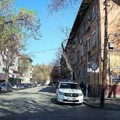 Абсурд в Пловдив: глобяват, докато сами нарушават