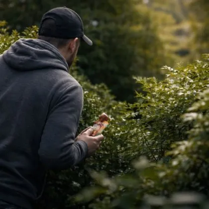 &bdquo;Крие сладки в храстите и ги дава на деца": сигнал от майка разтревожи Плевен