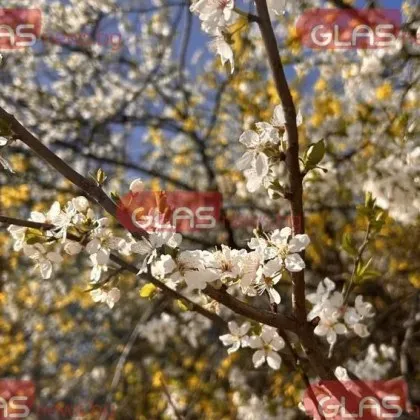 Европейският модел беше брутален за събота и неделя със студ