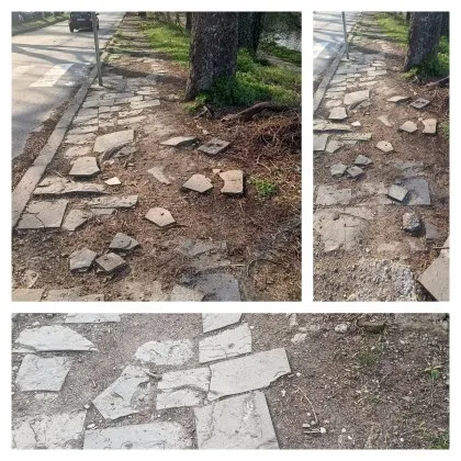 Разходката в парка би трябвало да е удоволствие Спокойствие Въздух