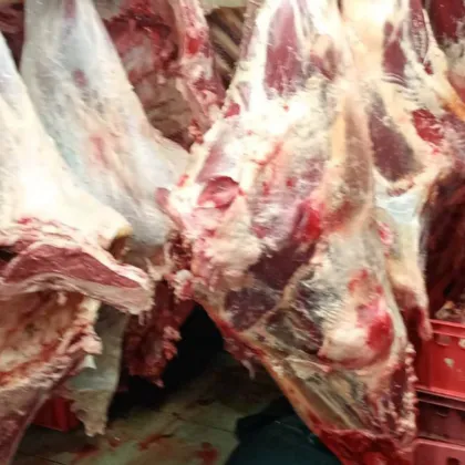 Разкриха нелегална кланица в Дебелец