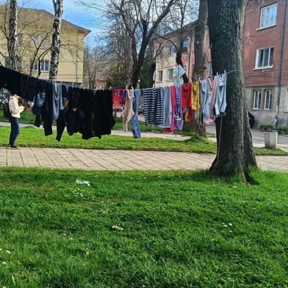 Снимка на импровизиран простор опънат между две дървета в пернишкия