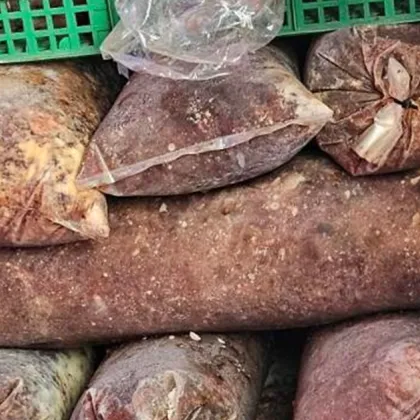 Втора незаконна кланица в гр Дебелец установи Областната дирекция по