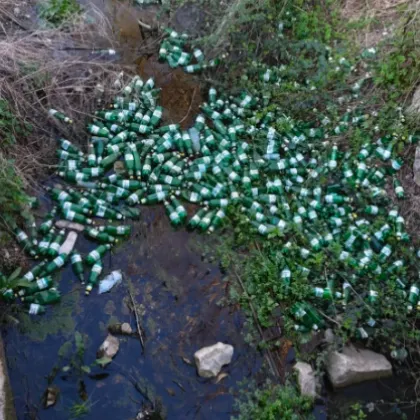 Десетки шишета от бира "поникнаха" под мост в Пловдивско СНИМКА