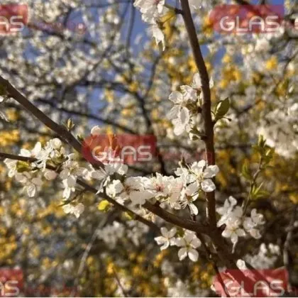 Днес облачността над страната ще е променлива по често значителна на