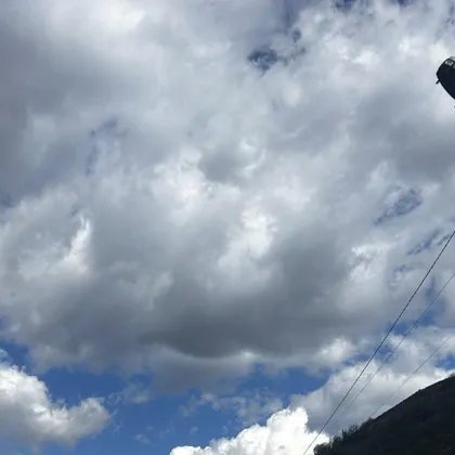 Пътят към боровата горичка в Сливен се превърна в "зона на страха"