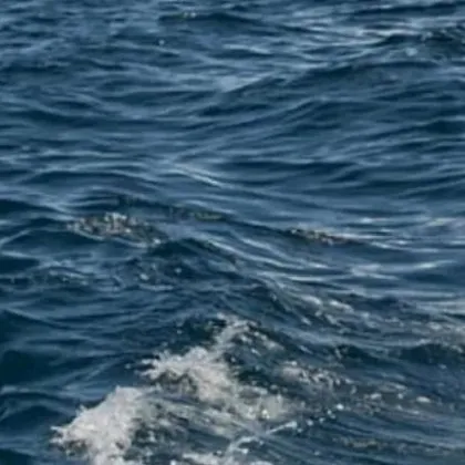 "Не се скривайте зад страха, апатията и безразличието": Дъщерята на изчезналия капитан отправи призив