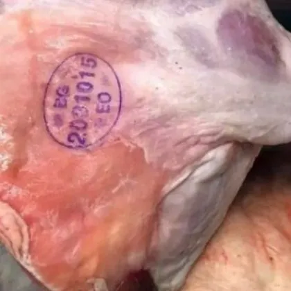 Засилен контрол в Пловдивско преди Великден заради риска от зарази