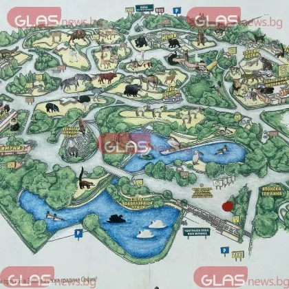 Зоологическата градина в София с лятно работно време