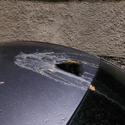 "Хвърлете кори и сирене": Замериха с яйца колата на жена СНИМКИ