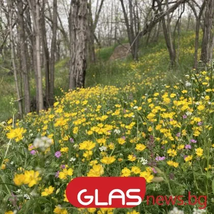 Слънчево време днес с градуси до 20