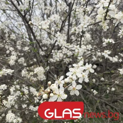 Ето какво ще бъде времето днес