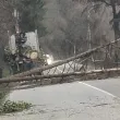 Паднали дървета блокираха пътя Самоков - София тази сутрин