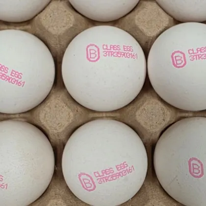 БАБХ върна над 1 млн. яйца в Турция