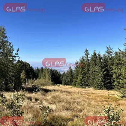 Откриха изчезналия на Витоша турист