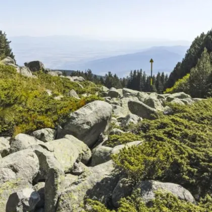 Планински спасители издирват човек край Драгалевския манастир на Витоша