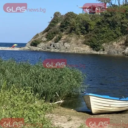 Влезе в сила забраната за риболов на някои риби