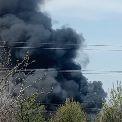 Голям пожар избухна на Околовръстното в Пловдив ВИДЕО