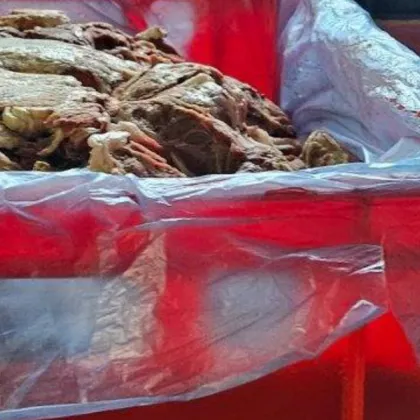 Лоша хигиена и месо без документи: БАБХ затвори кланица край Пловдив