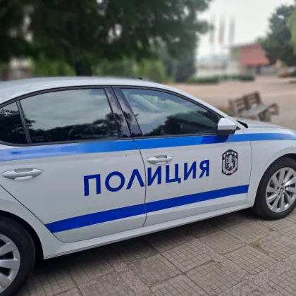 МВР мобилизира над 1400 служители за сигурността на изборите