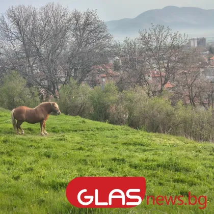Облачно и дъждовно време днес, има условия за градушки