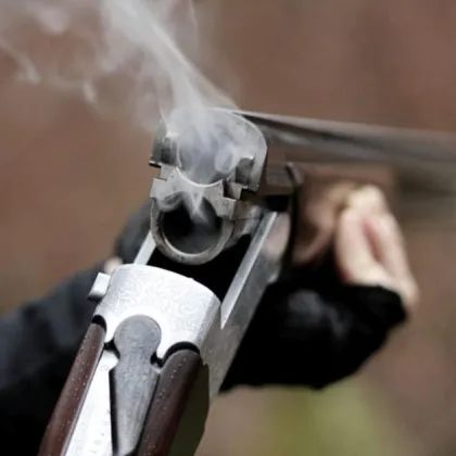 Застреляха с ловна пушка куче в Крумово ВИДЕО