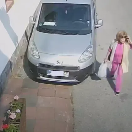 "Бяга все едно е обрала банка": Жена задигна цвете в Асеновград ВИДЕО