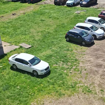 Надпревара за зеленото килимче: Коли превзеха тревните площи в София