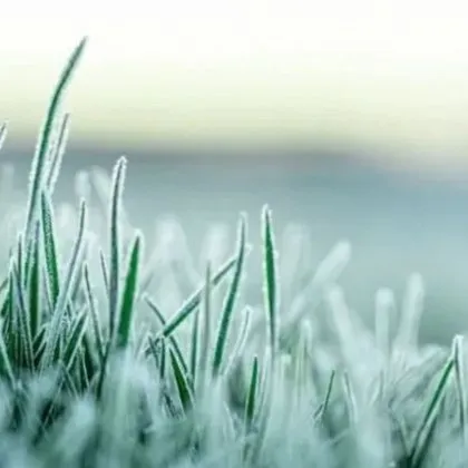 Обявиха жълт код за слана в 4 области КАРТА