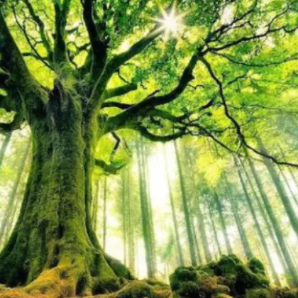 Oтбелязваме Деня на Земята