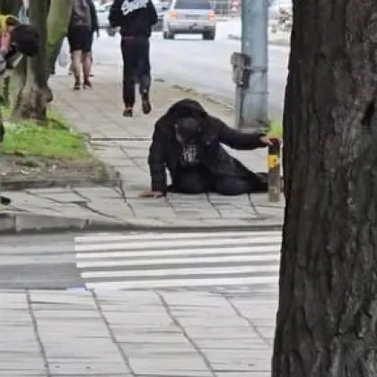 Нова "зомби" сцена в Пловдив: Мъже замръзнаха насред улица ВИДЕО+СНИМКИ