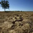 Евростат: Сушата обхваща все по-големи площи в България