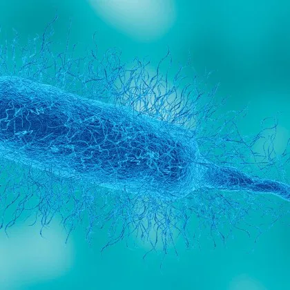 Бактерия убиец дебне край Ню Йорк: риск от смърт до 48 часа след заразяване