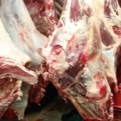 Унищожиха 7 тона месо, открито в кланица