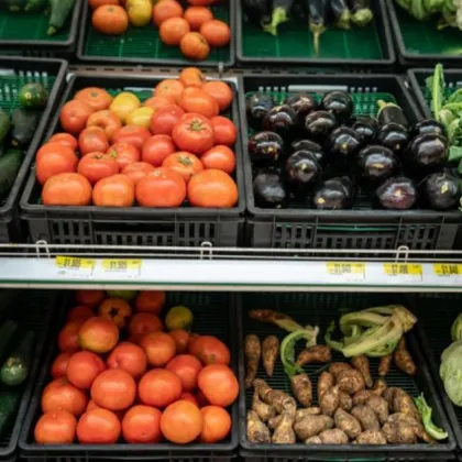 Салатата излиза солено: Доматите и краставиците поскъпват